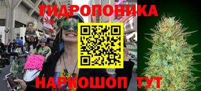 Альфа ПВП Балашиха