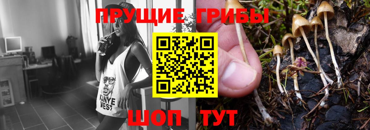 Псилоцибиновые грибы прущие грибы Домодедово