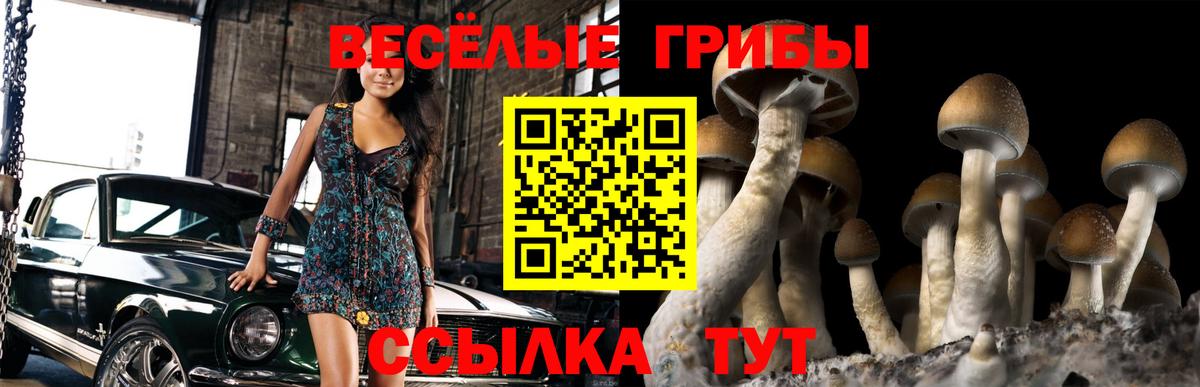 Псилоцибиновые грибы прущие грибы  Вход с VPN  цена   Домодедово  Галлюциногенные грибы мицелий 